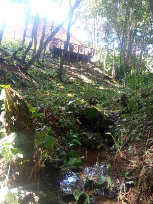 Casa Aconchegante Na Serra. Santo Antonio do Pinhal Ngoại thất bức ảnh